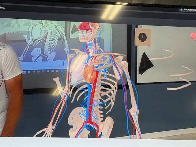 X RAY 7